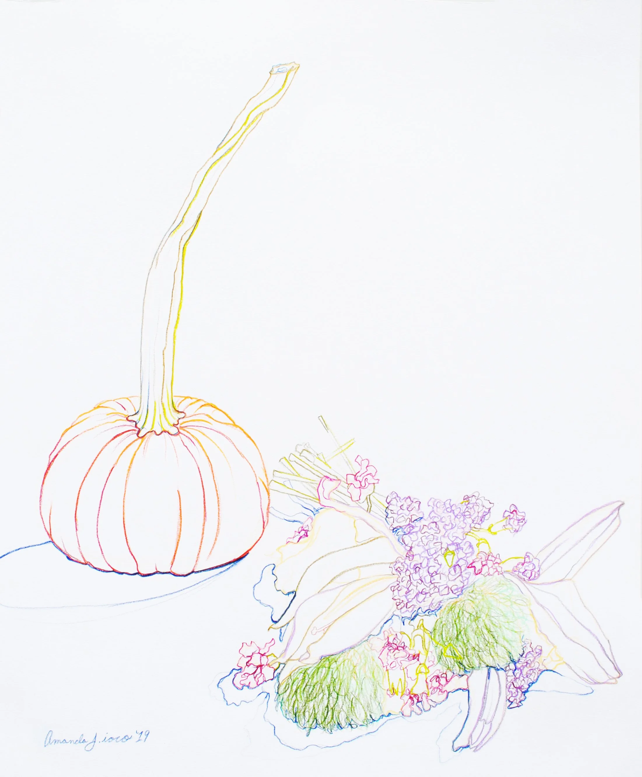 PumpkinandaDeadBouquet_17x14-coloredpencil-2019_amandaioco.jpg