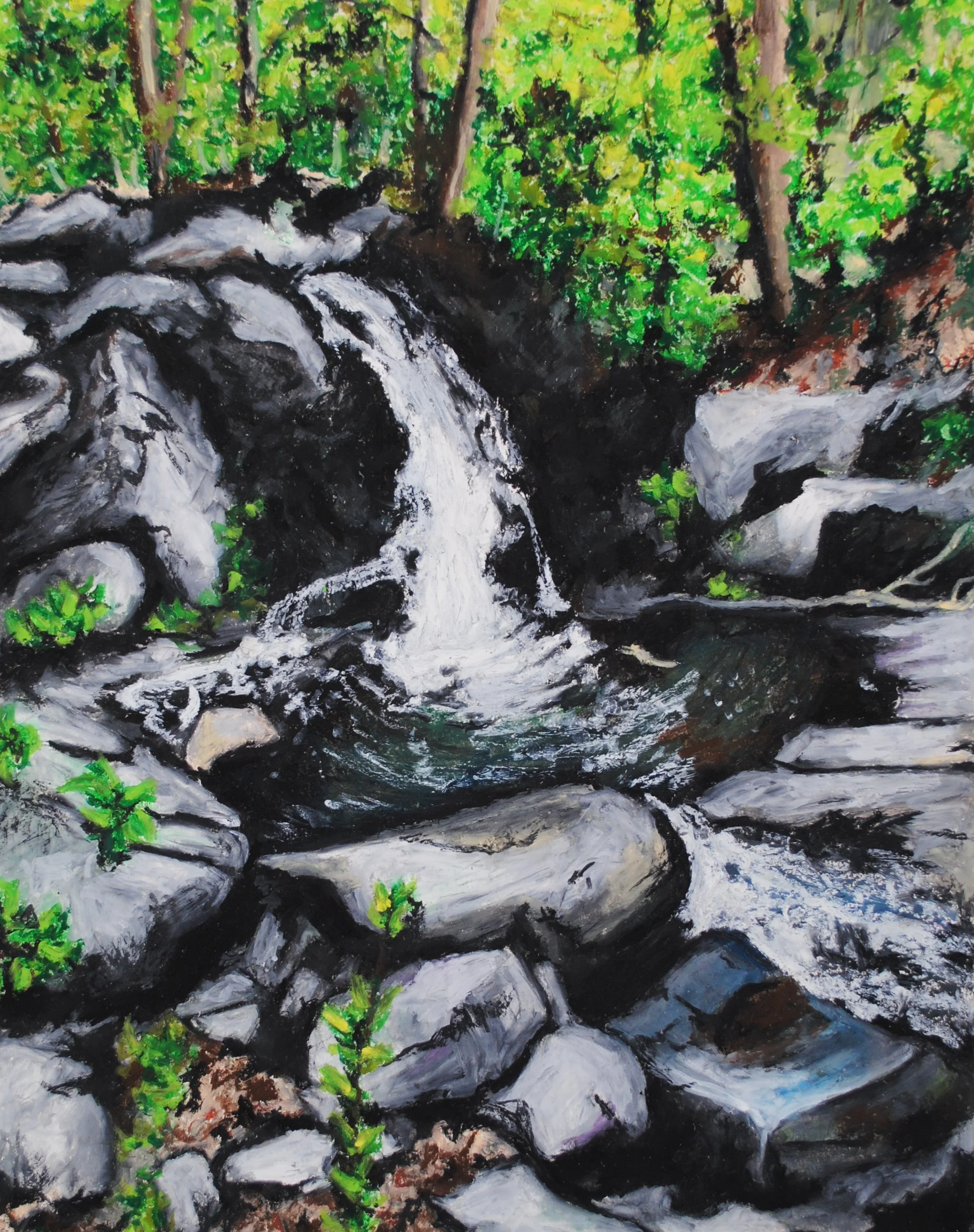 ApshawaPreserve,NJ,2017_14x11_oilpastelonpaper_ioco.jpg