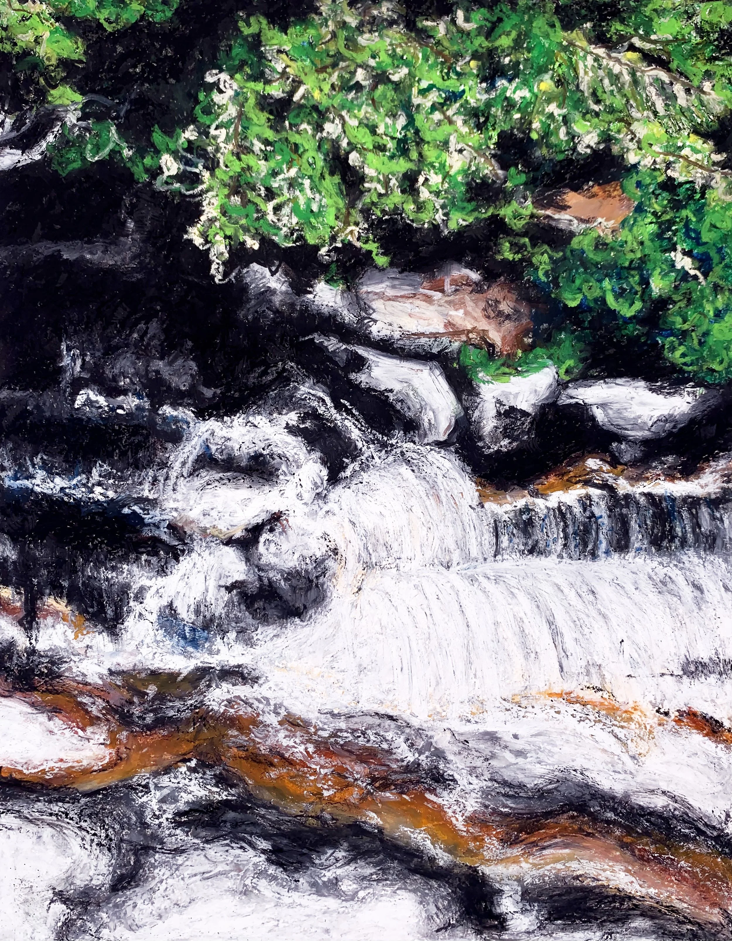 MinnewaskaStateParkNY2017#2_14%22x11%22-oilpastel_aioco.jpg