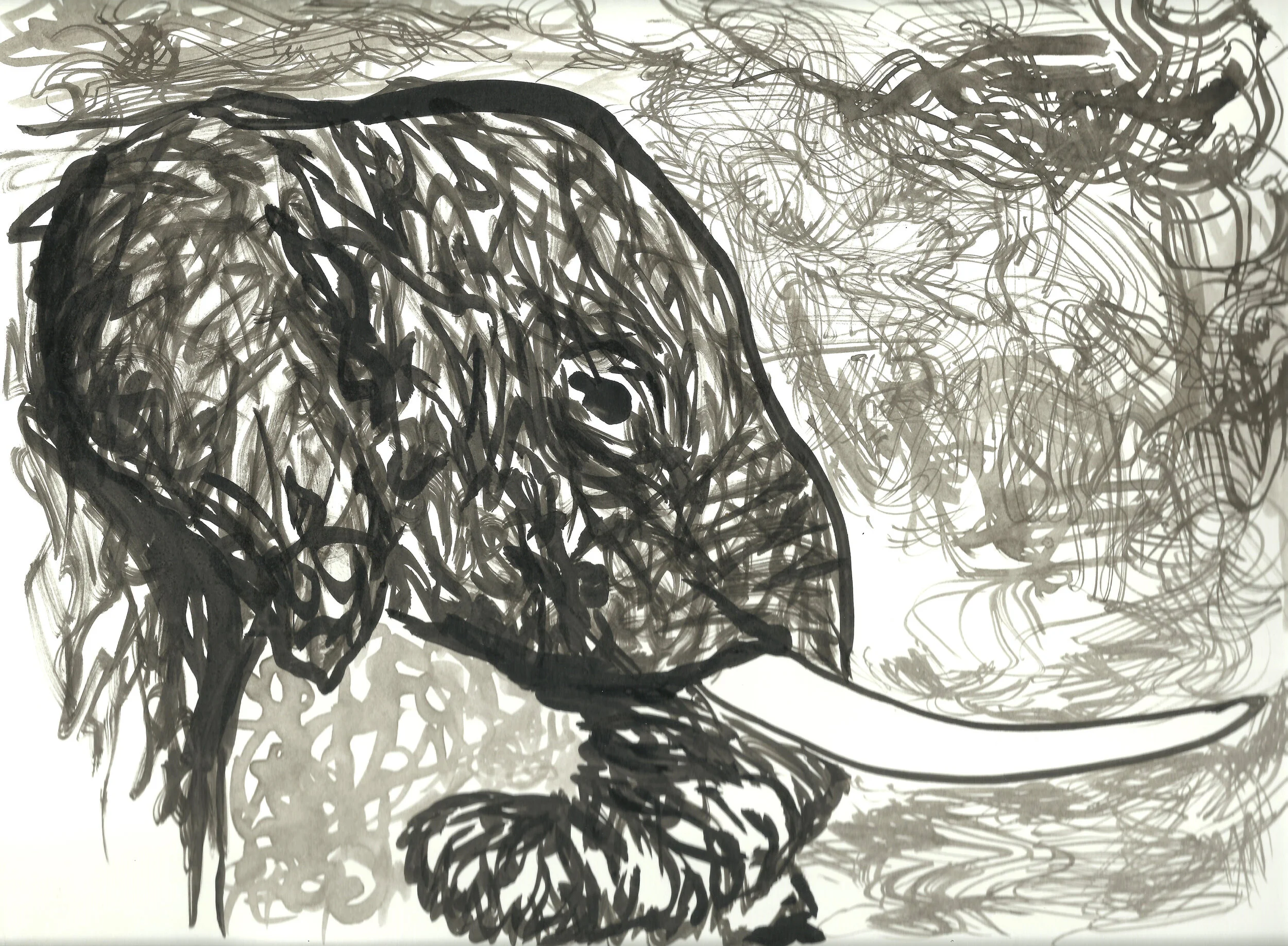 2014 Elephant Black Ink.jpeg