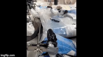 When science meets art: peeling a silicone cast off a sea snake head specimen