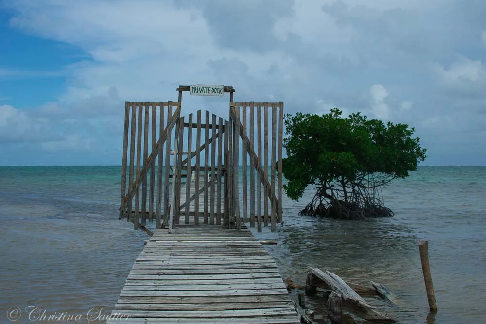 CMS_0096- Website.jpg