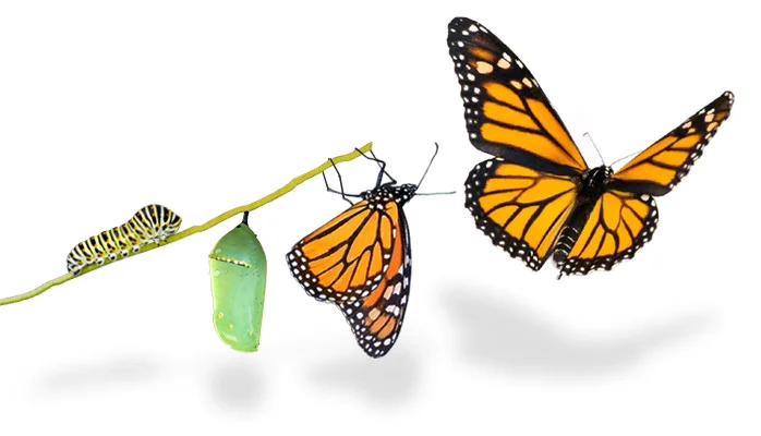 Transformation Doesn't Happen Over Night!