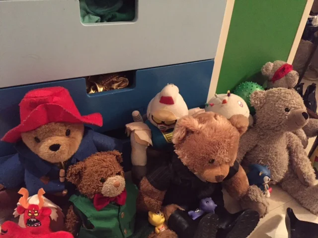 From L to R: Trigon, Paddington, Kuma, Robot, Fluffington J. Bear ESQ, Chickens, Arctos, Arc. Non-Teddy Bears go to Teddy Bear school as well, it gives the program more diversity.