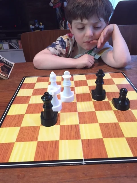 Zephyr sizes up the board.