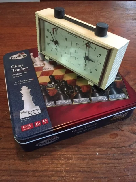I really dig this Pavilion Chess Teacher set because the way the pieces move are written below each piece. It's the ideal teaching set IMHO.