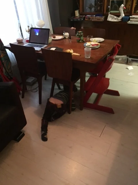 This terrible shot of Lyric's butt as he ducked under the table was the best I got. For real. Guys, I'm sorry, you should expect more from me.