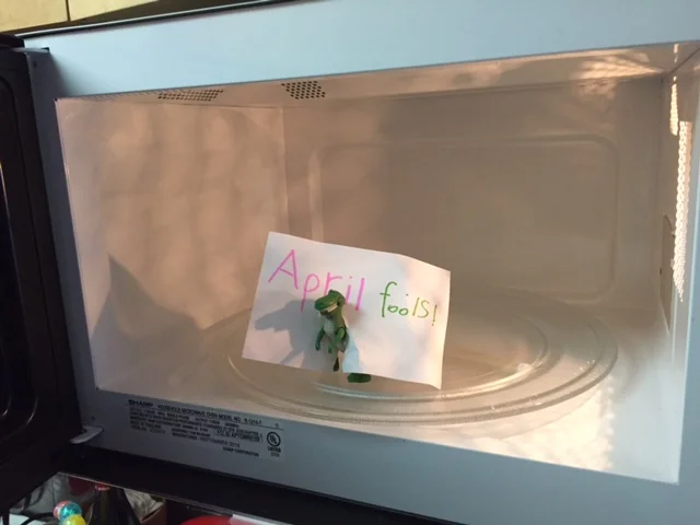 In the spirit of #radicalhonesty, Lyric TOTALLY BLEW IT last night when, as soon as I came home, he blurted out "Don't look in the microwave!" The kid is humorously awful at keeping secrets. He had also hidden several other things, which he would systematically set and then get too impatient for someone to find it tomorrow.