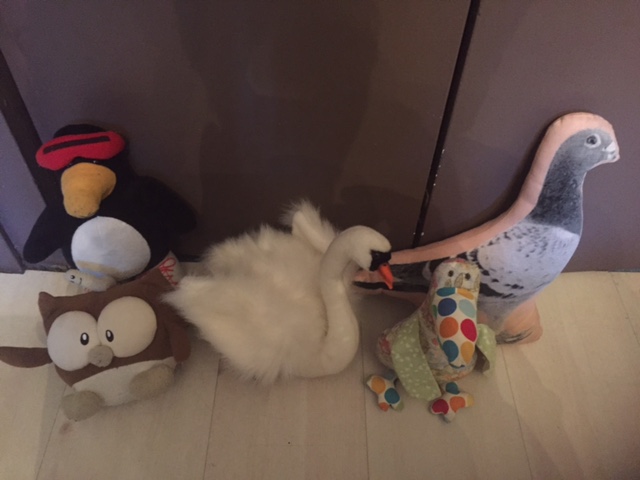 From L to R: Sparky the Penguin, Owly, Sigmund the Swan, The Cranberry Goose, and Pigeon Pillow.