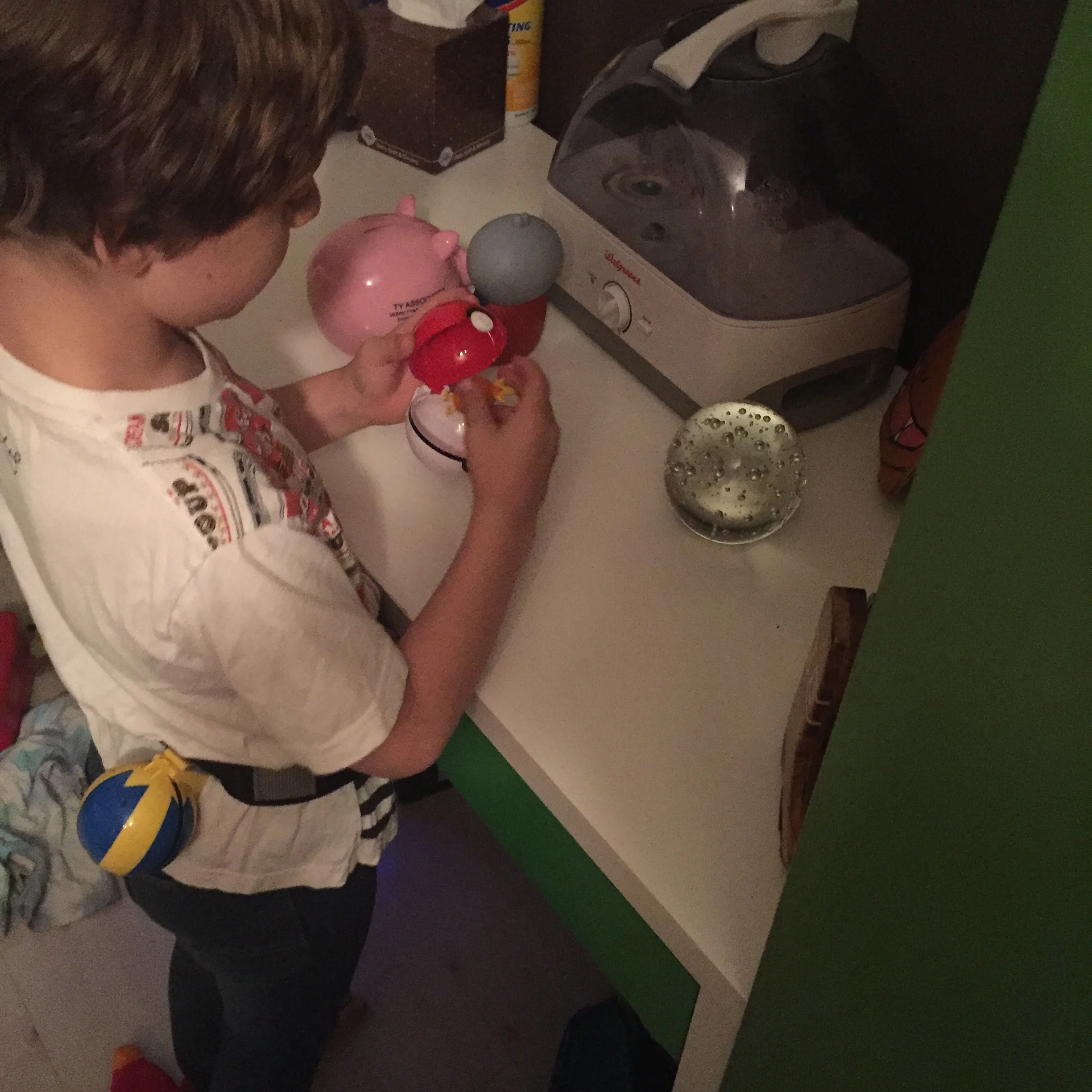 Zephyr goes to capture a Torchick in a pokeball