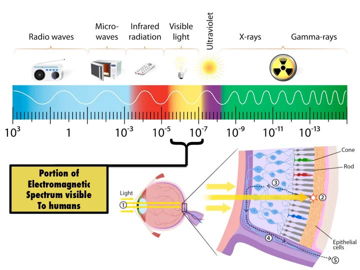 fig.1 - Electromagnetic spectrum.