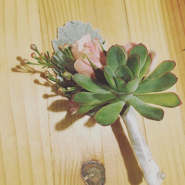Late night boutonierring... #succulents #dustymiller #sprayroses #waxflower #utahflorist