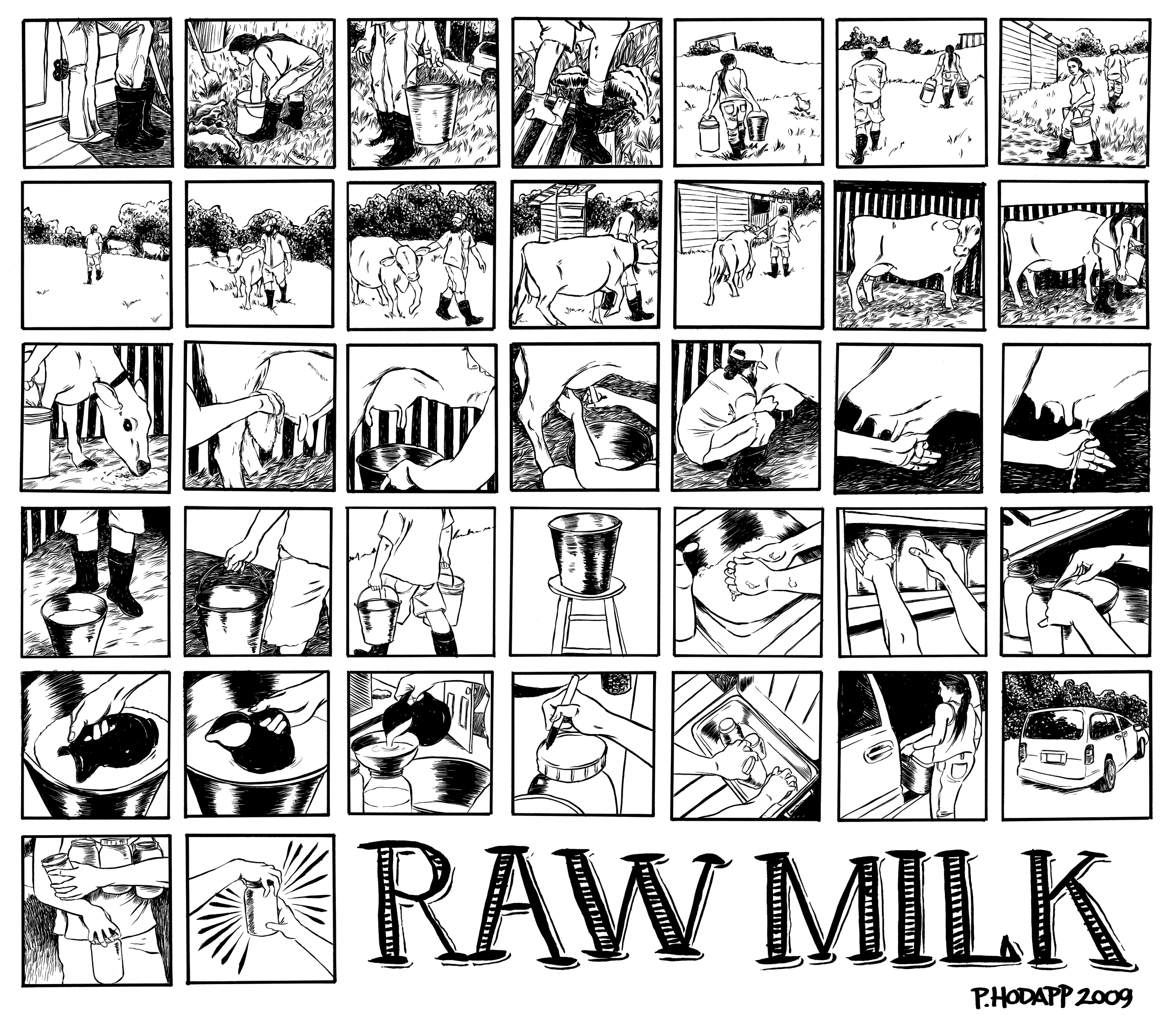 Raw Milk documentary comic.