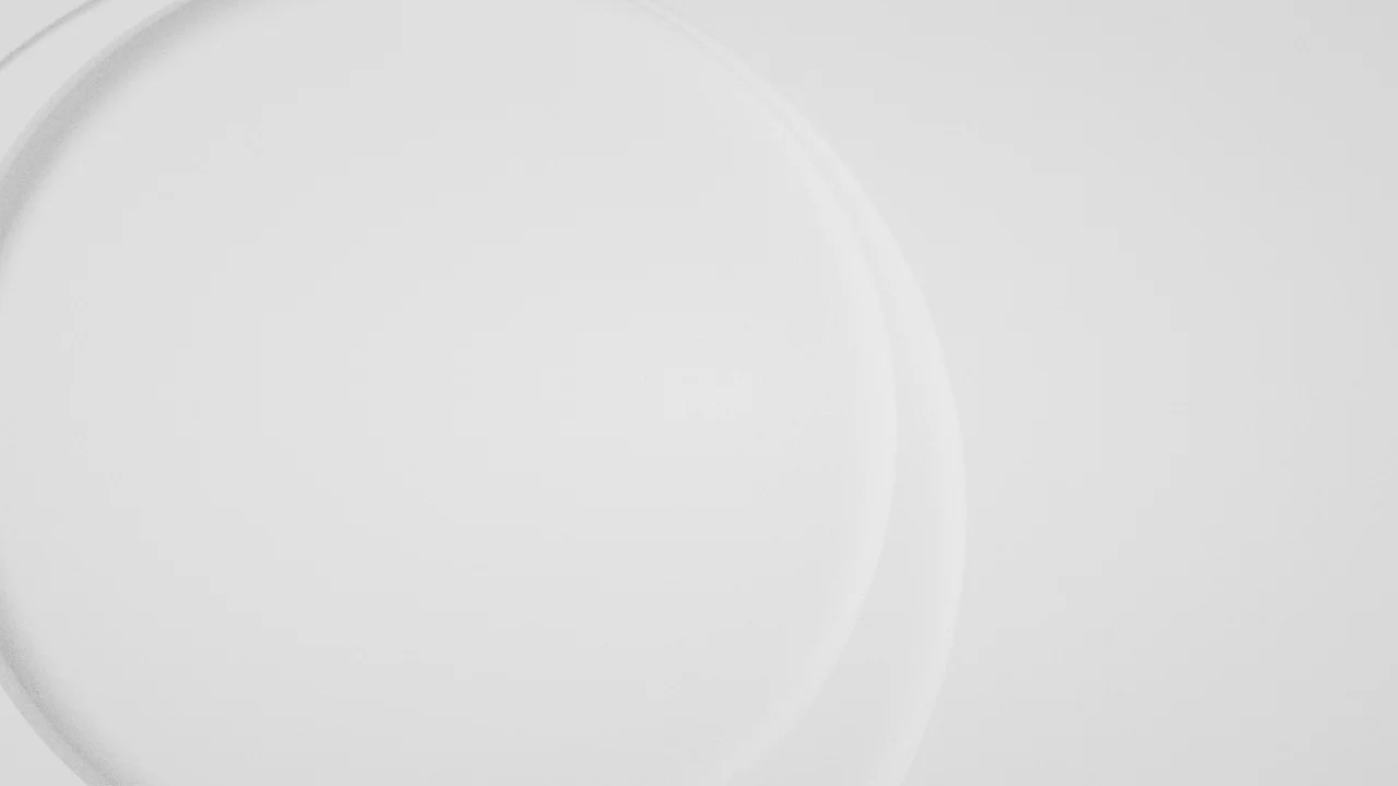 MOTION_PRINCIPLES (00713).jpg