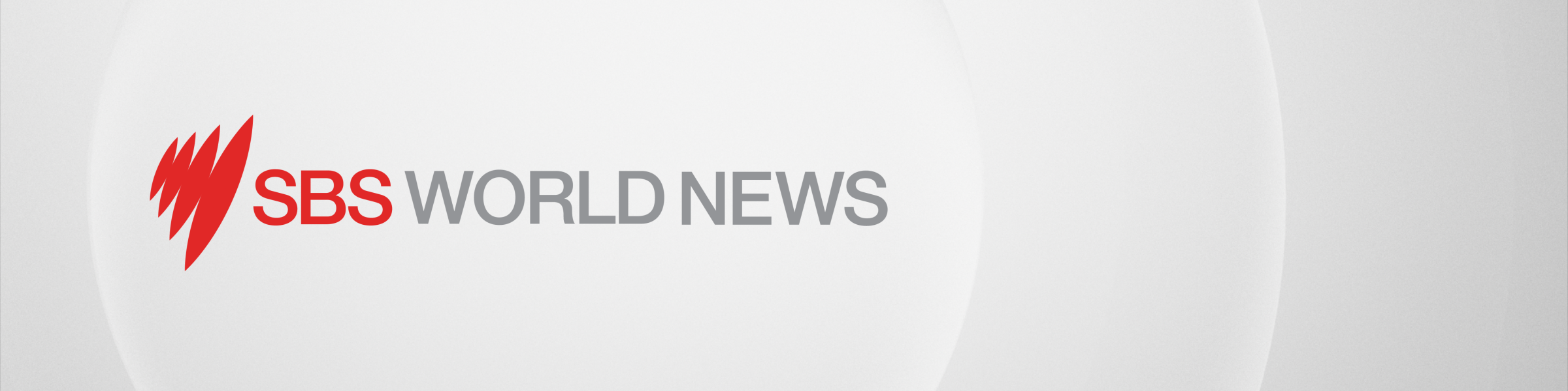 06I_FRONT_DESK_PLASMA_horizontal_loop (00062).png