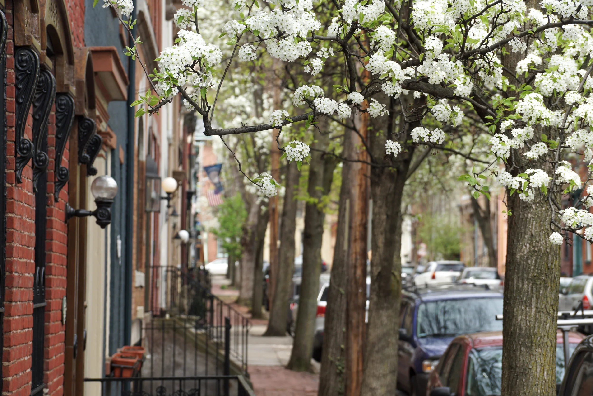 Visit — Mexican War Streets Society