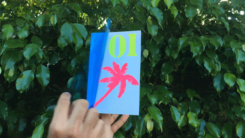 Boomerang1-iloveimg-compressed-iloveimg-compressed.gif
