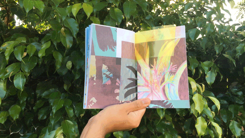 Boomerang3.gif