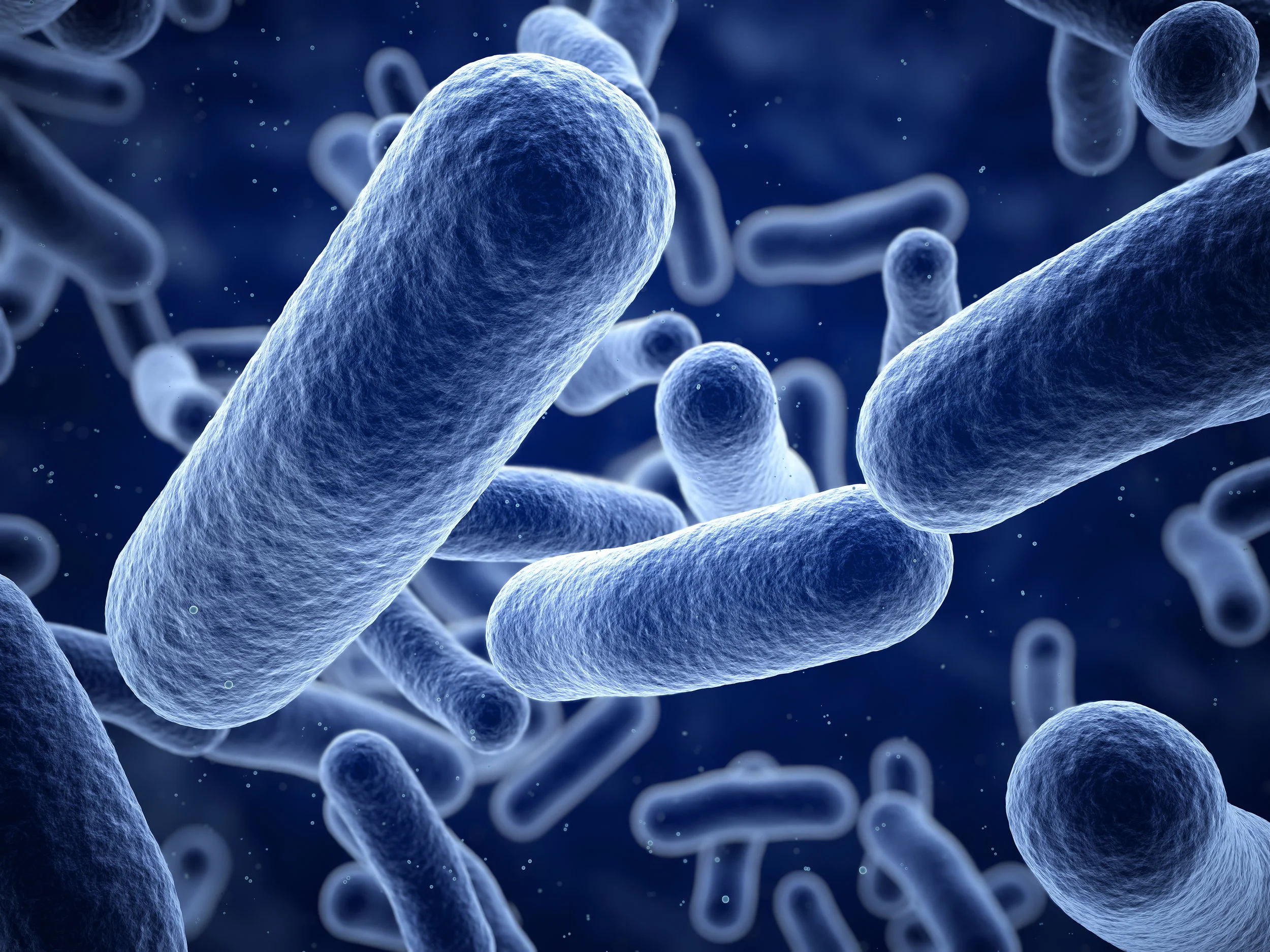Artist rendering. Bacteria suck and never look this cool in real life.