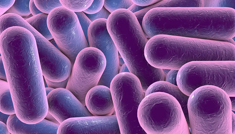 microorganism.jpg