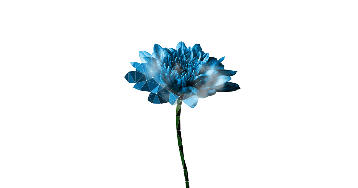nyle-new.png