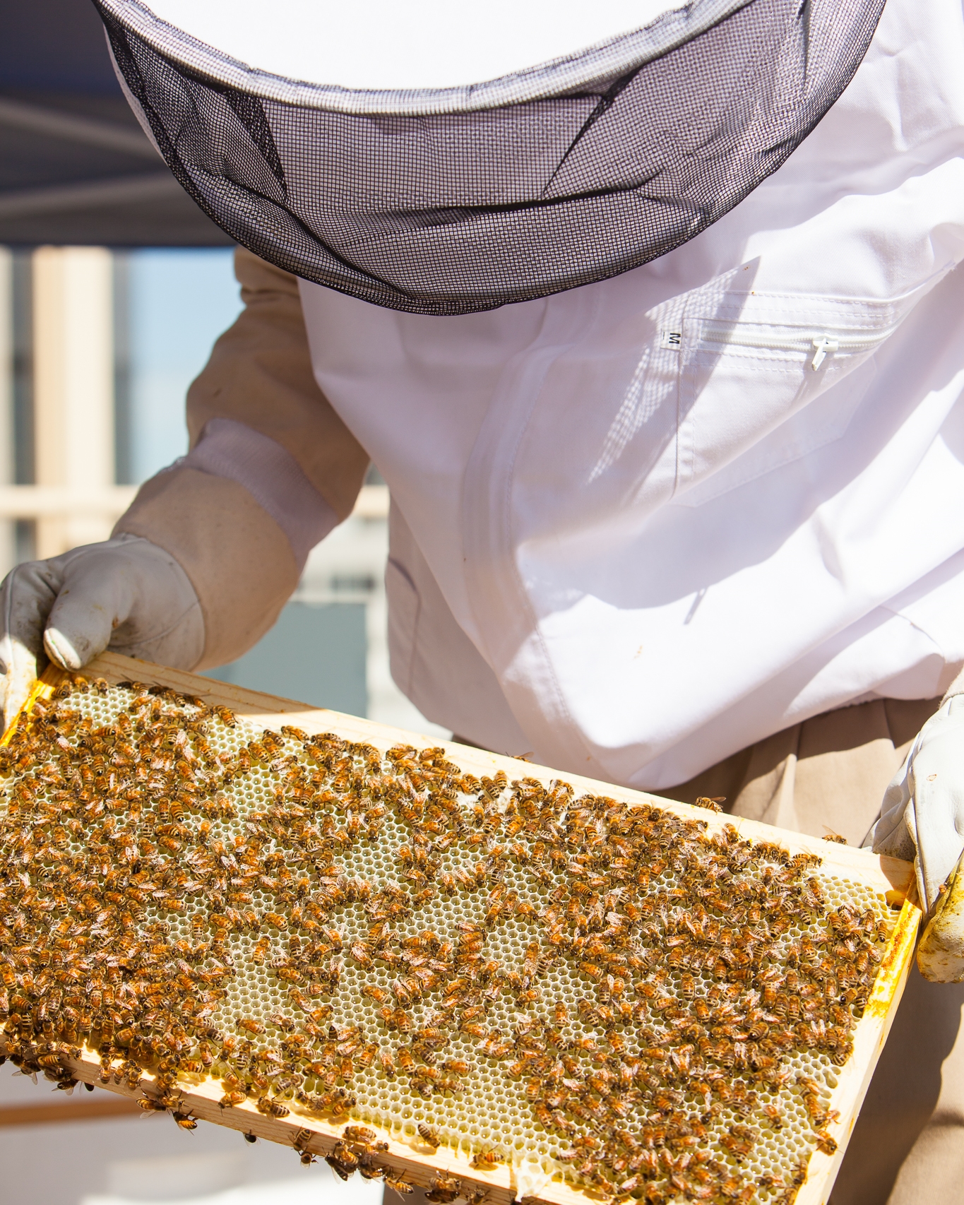 Beekeeper & Chef Jesper Jonsson; commissioned by Modern in Denver . Photographer Jennifer Koskinen | Merritt Portrait Studio