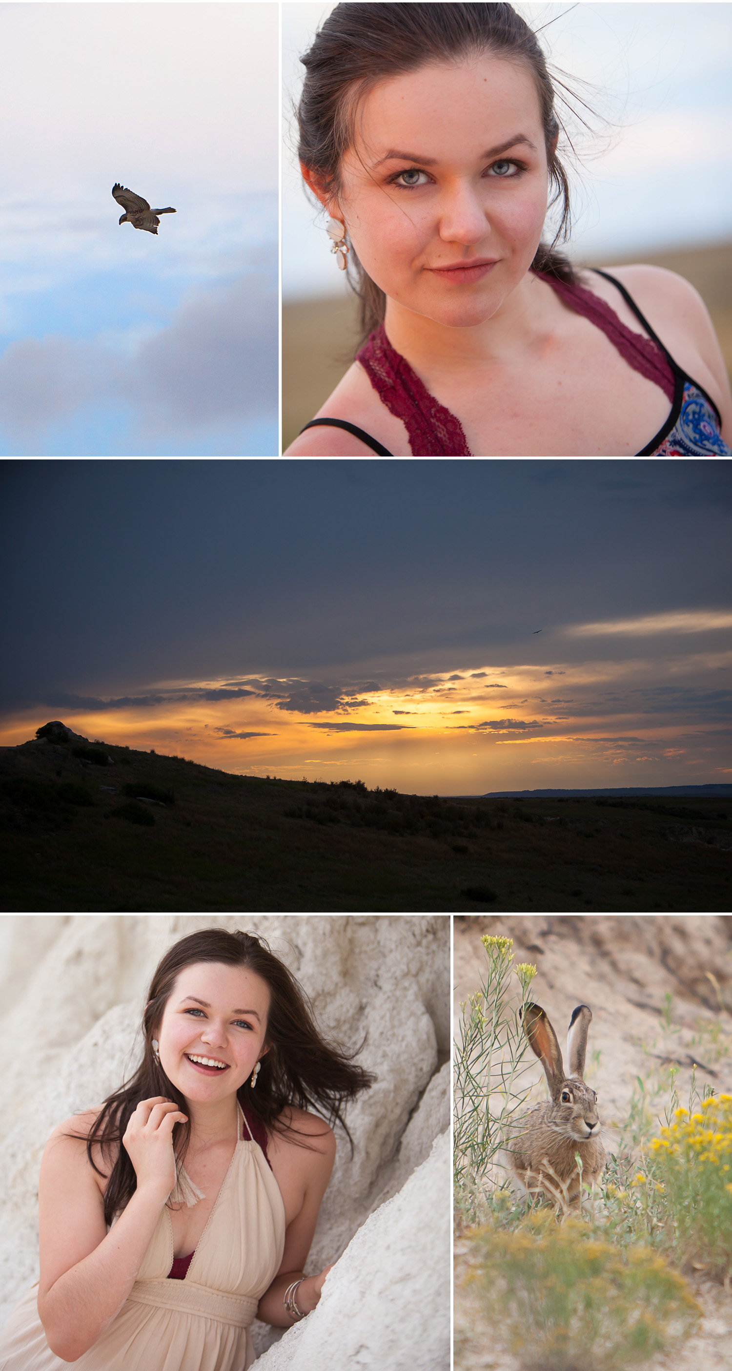 high school senior pictures and wildlife in unique, outdoor location in Colorado, with photographer Jennifer Koskinen, Merritt Portrait Studio