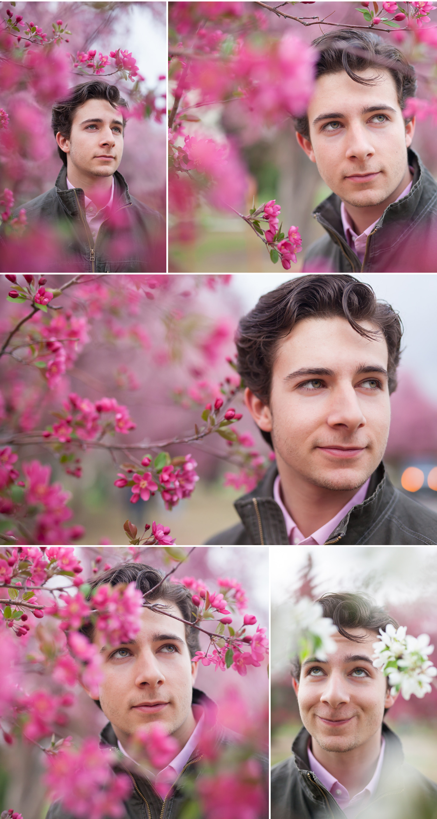 Portraits in Cherry Bossoms