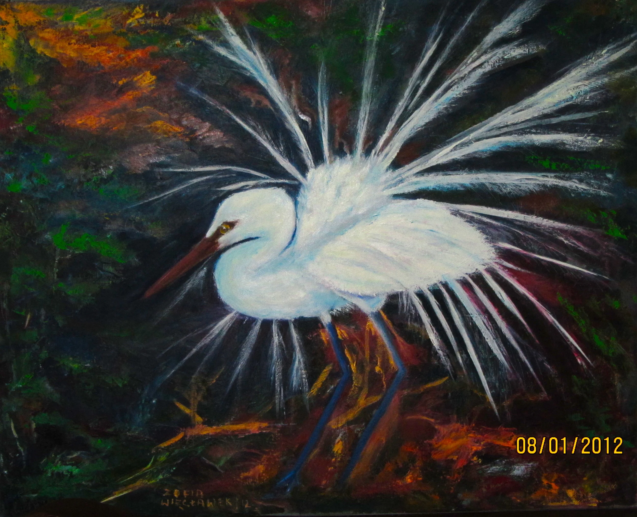 Egret