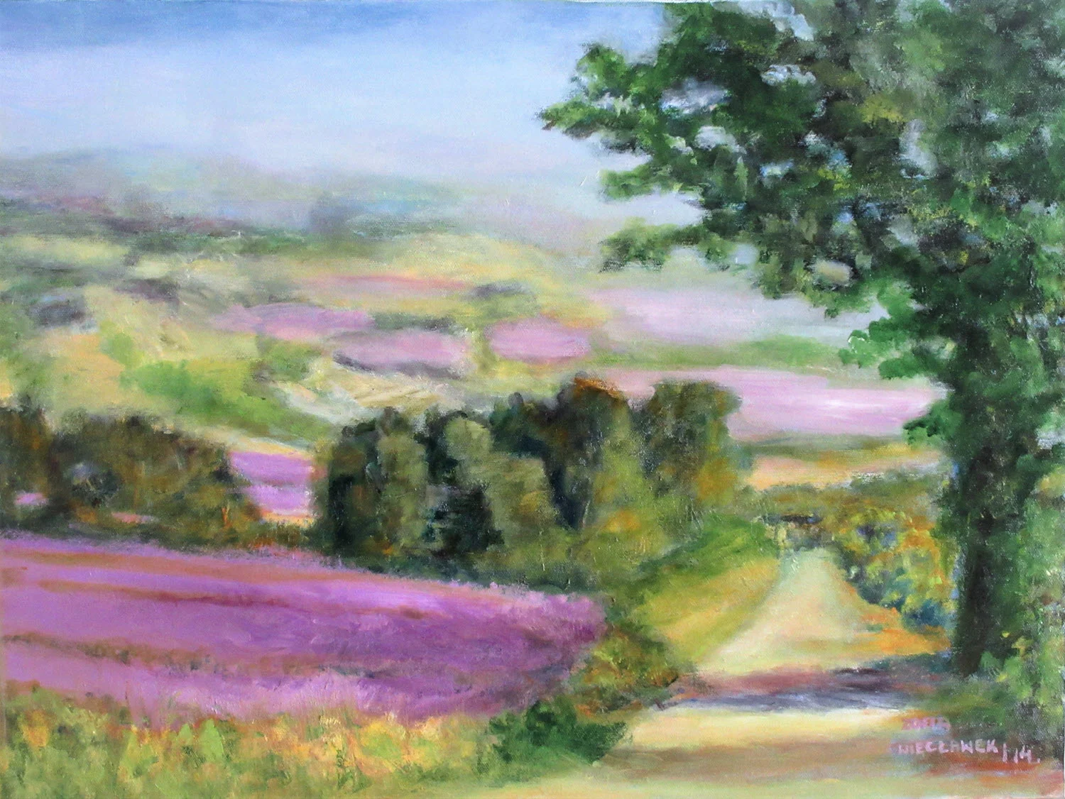 Lavender Field 2