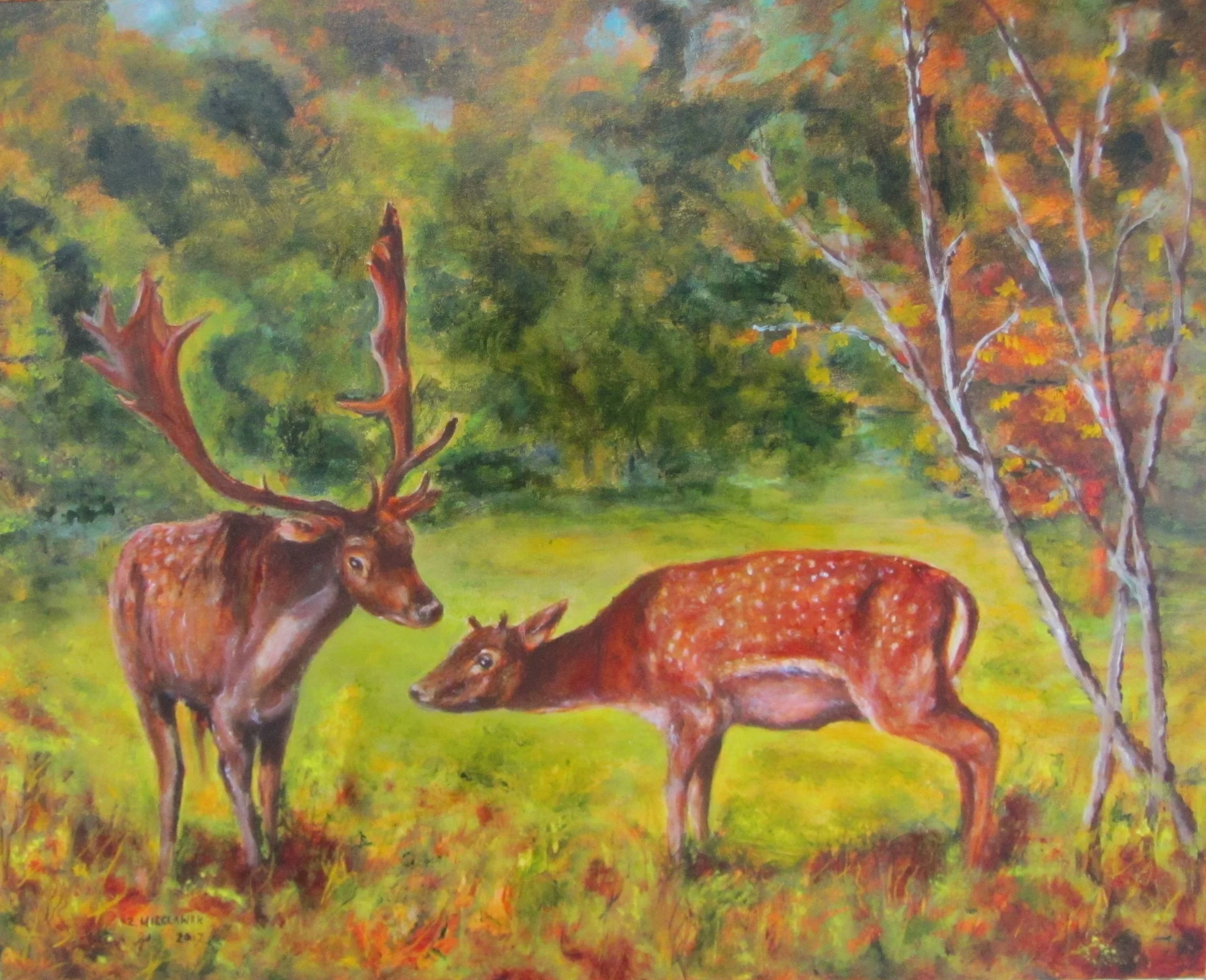 Our Deer Friends