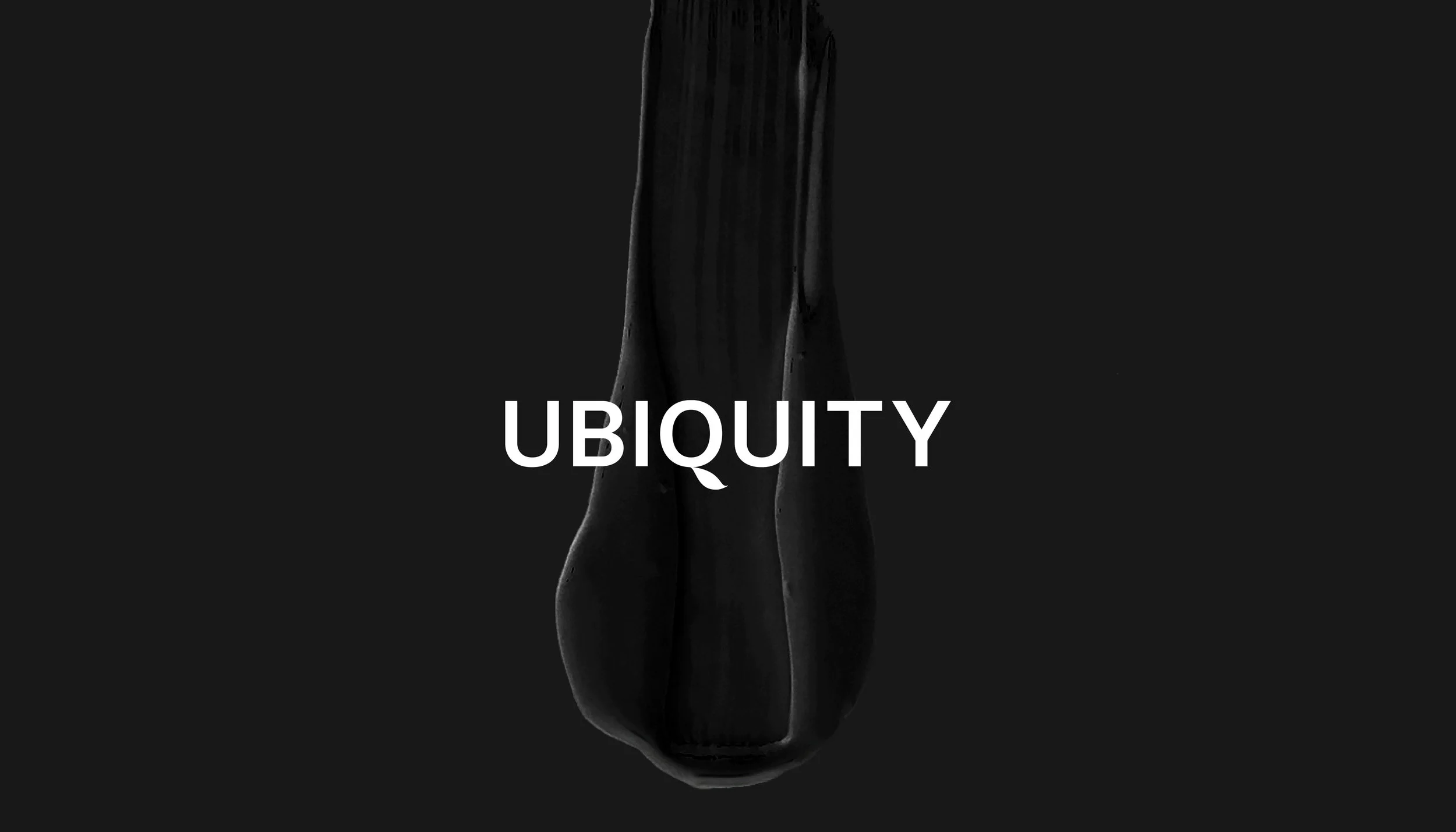 Anders Nord_Ubiquity_Brand identity_12.jpg