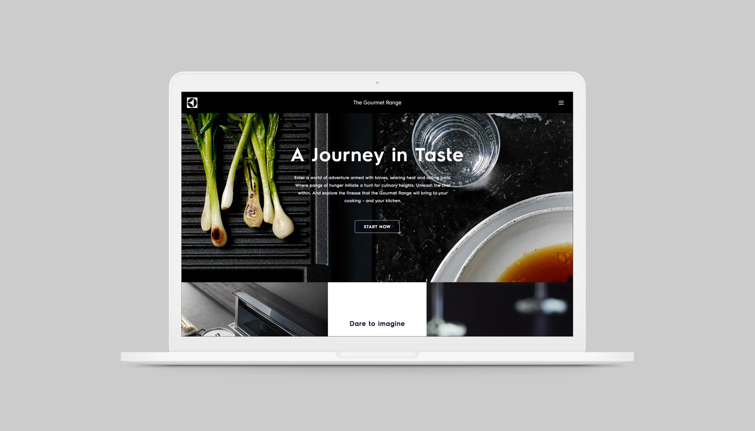 Anders Nord_Electrolux Gourmet Range_Brand identity_111.jpg