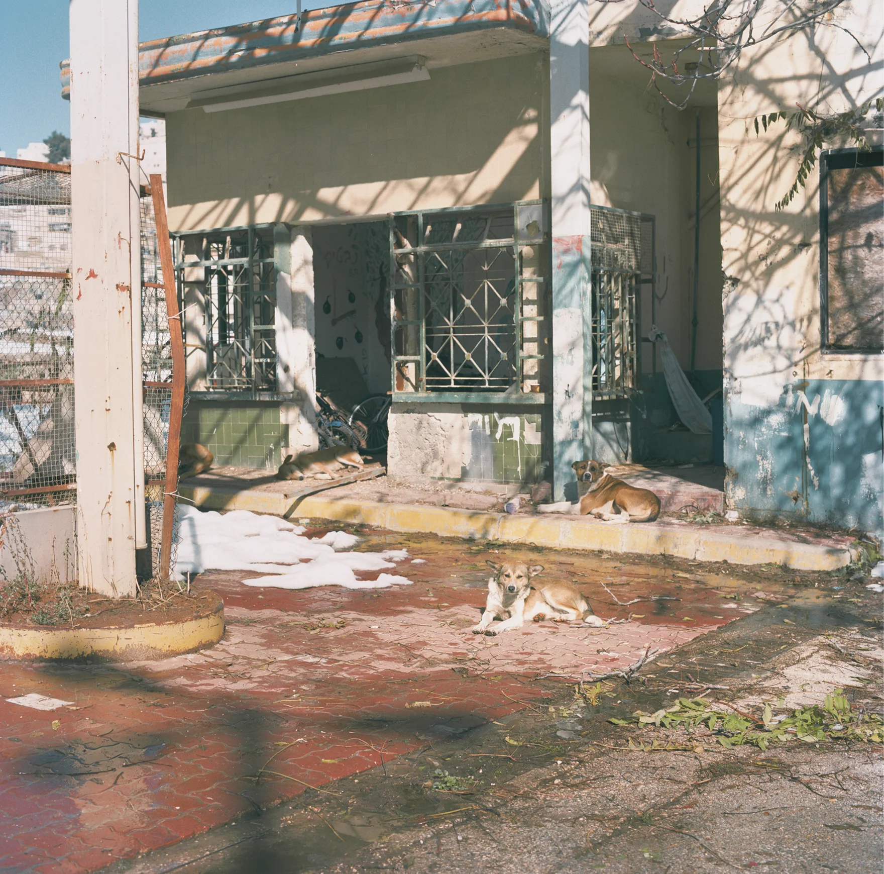 hebron