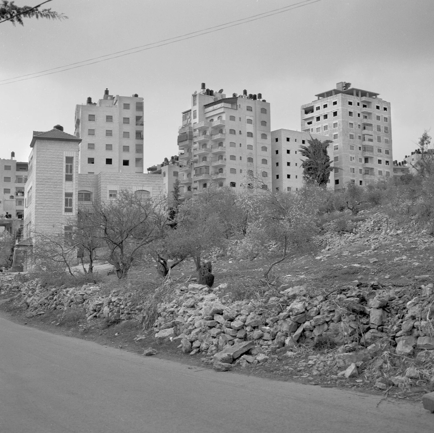 ramalla