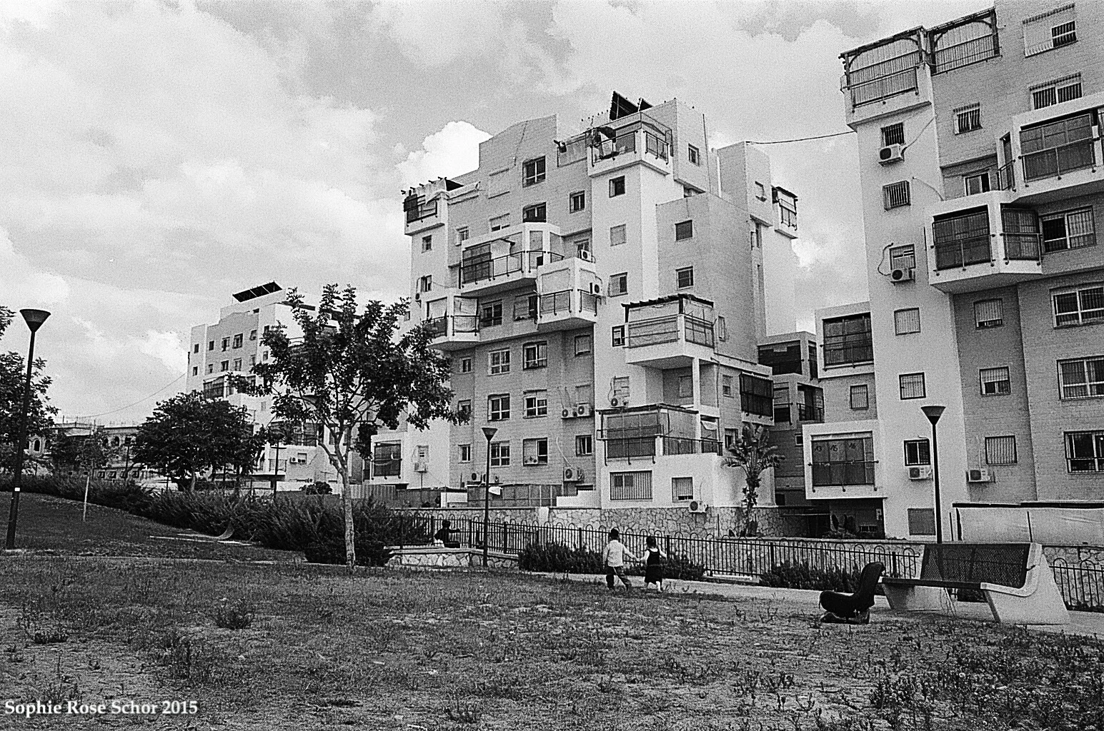 Little Boxes On A Hillside Sophie Rose Schor