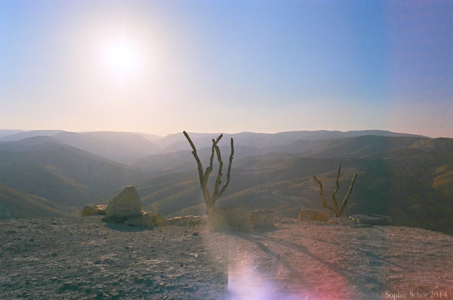 66720002Watermark.jpg