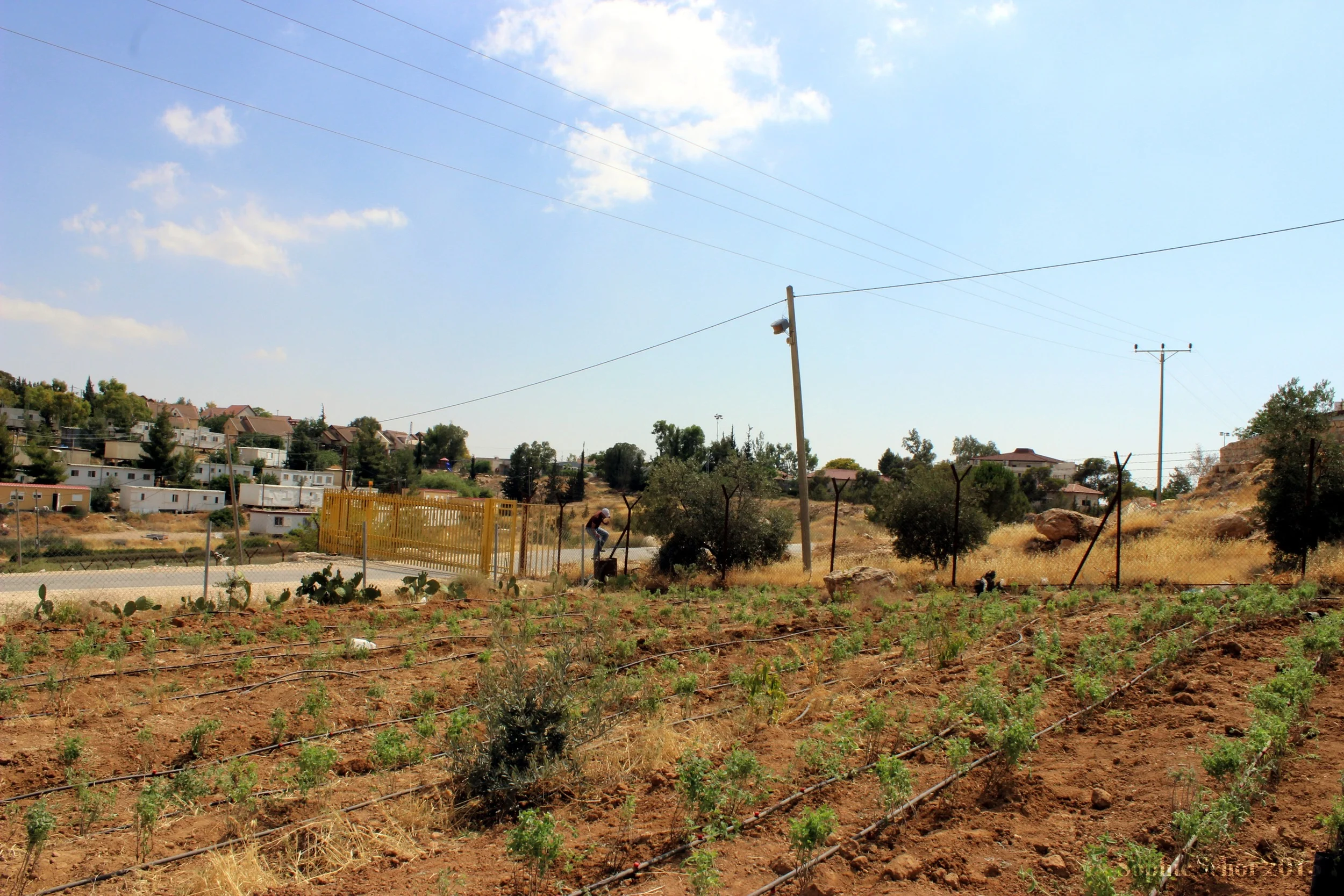 The yellow gate of Carmel settlement with new caravans right behind it--a sign that the settlement is expanding.