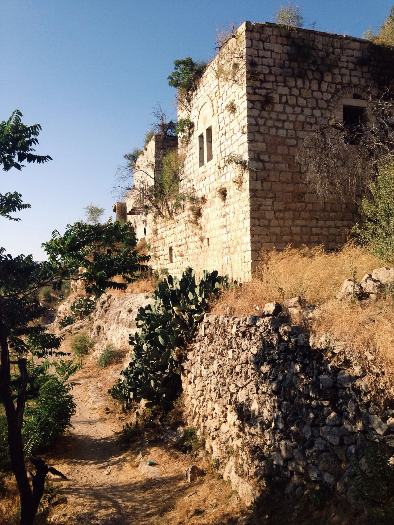 Walking the paths of Lifta.