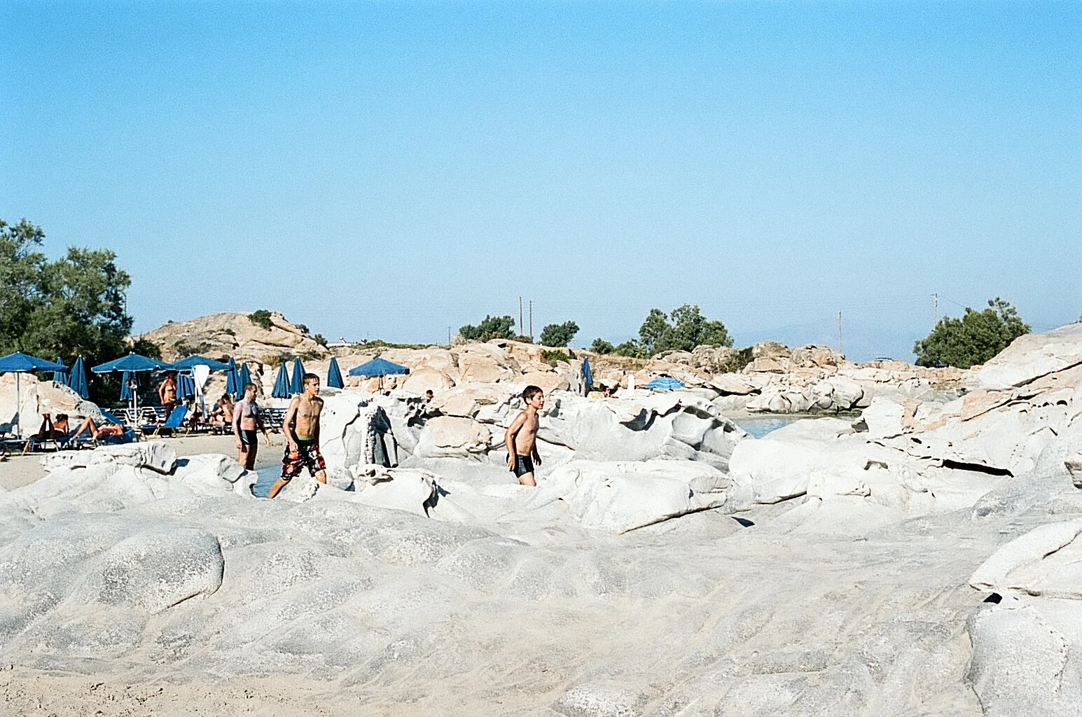 80490022.jpg