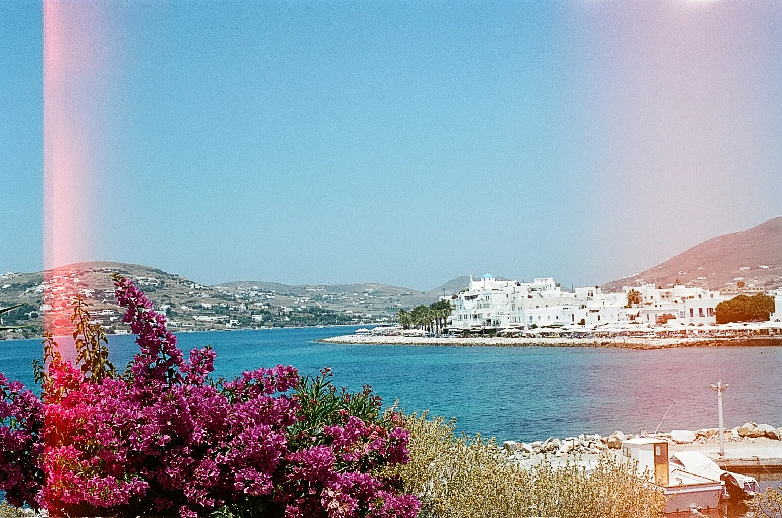 80490014.jpg