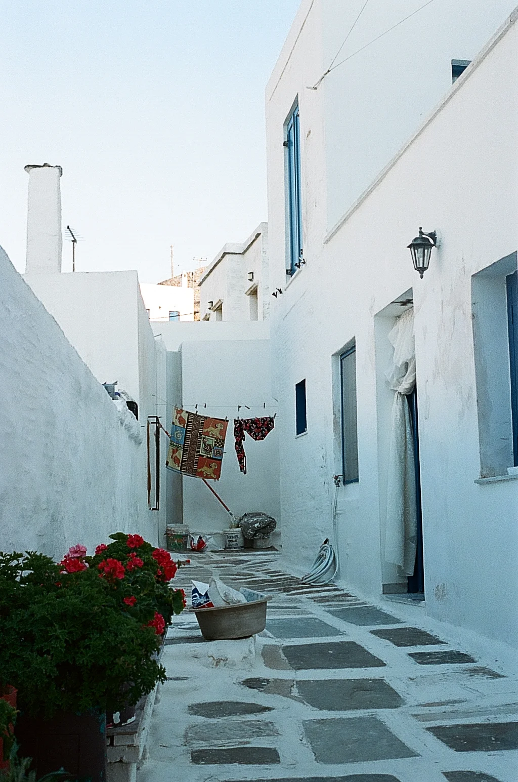 80490037.jpg