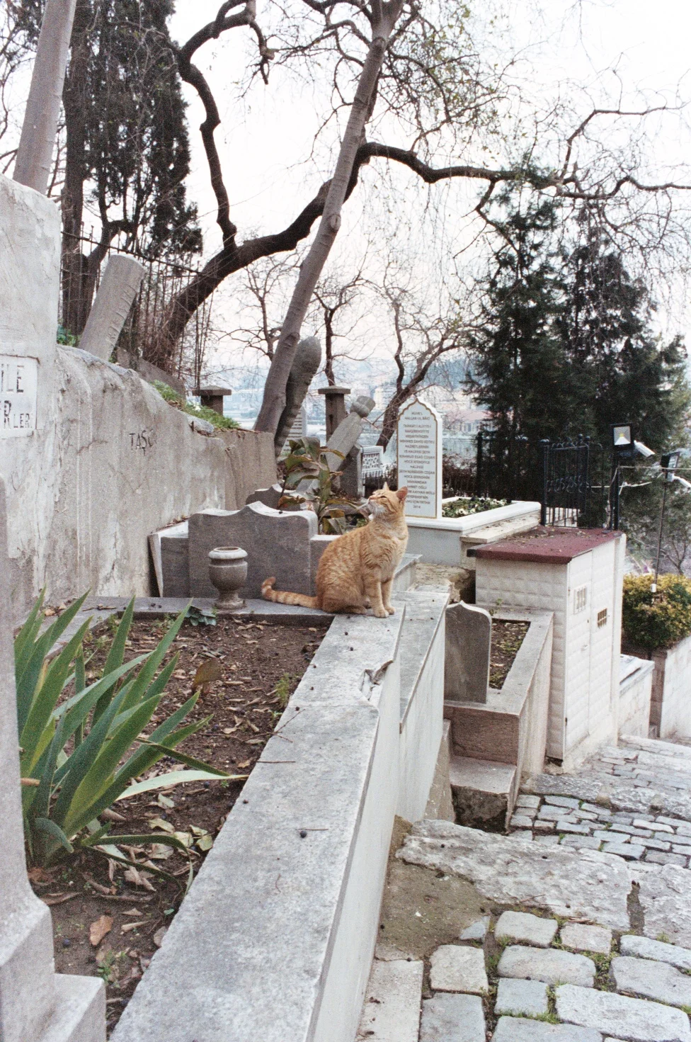 AA021.jpg