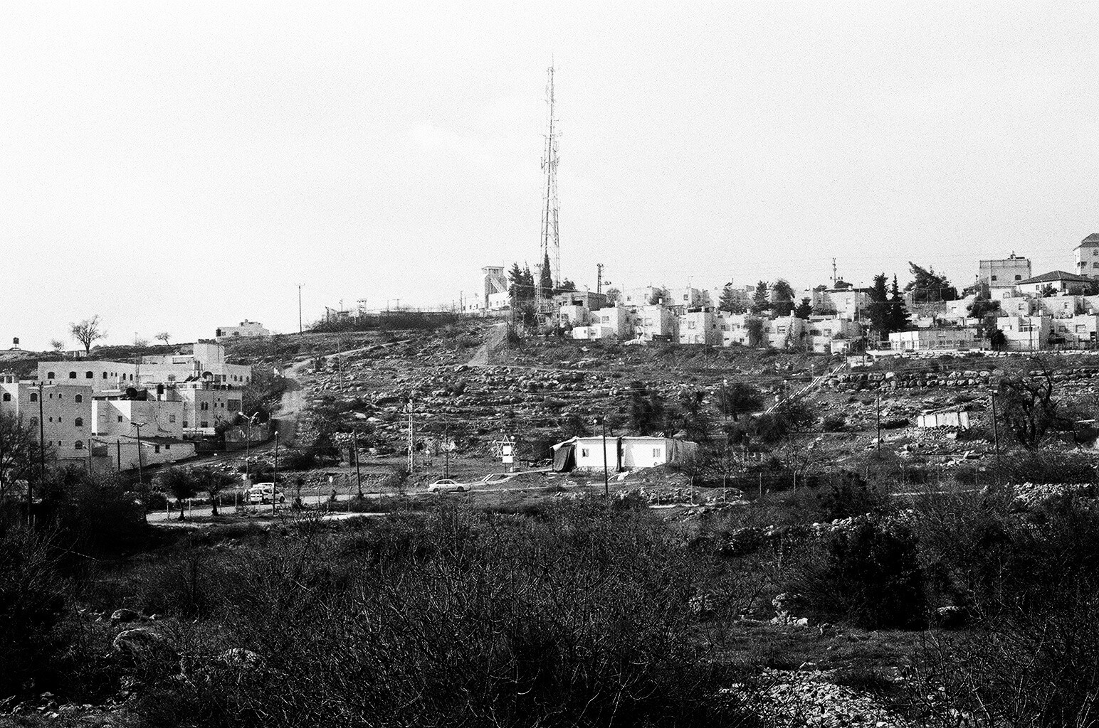 West Bank Jan 2015_034.jpg