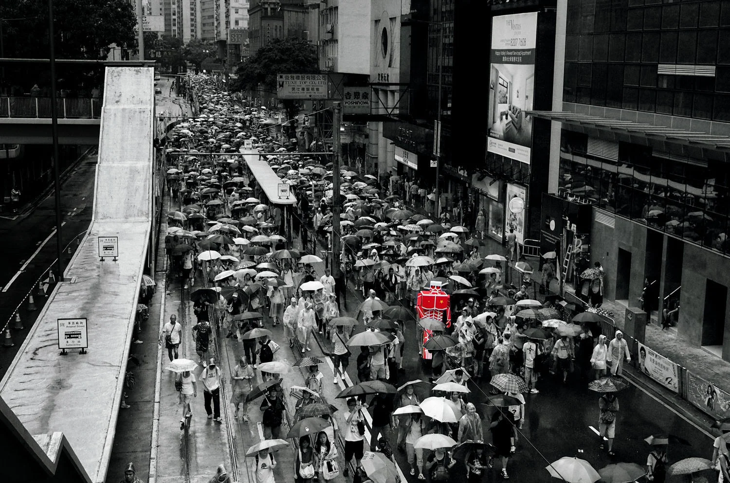  Photo: Thomas Leung 