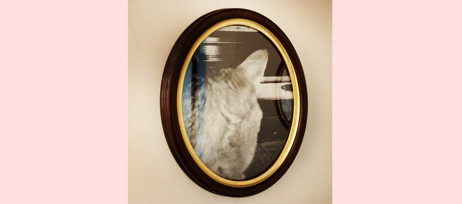 ballball-cat-by-kacey-wong-01.JPG