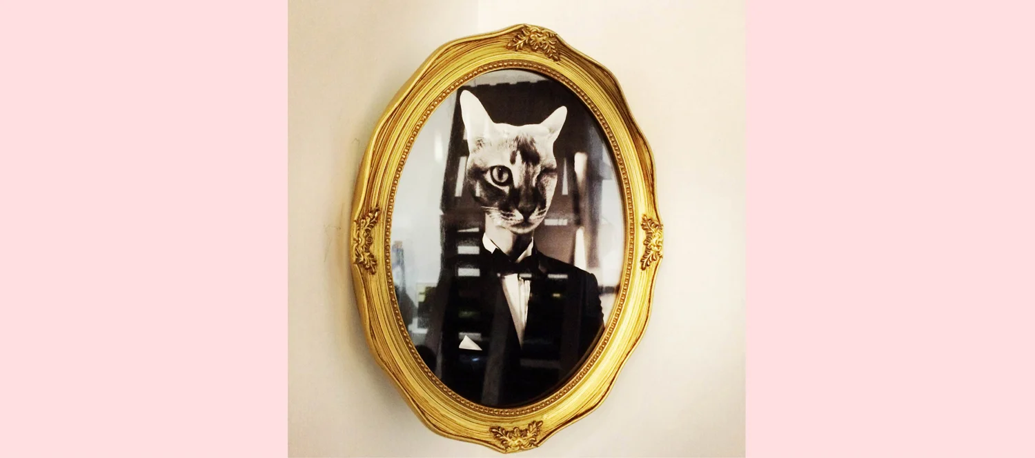 ballball-cat-by-kacey-wong-03.JPG