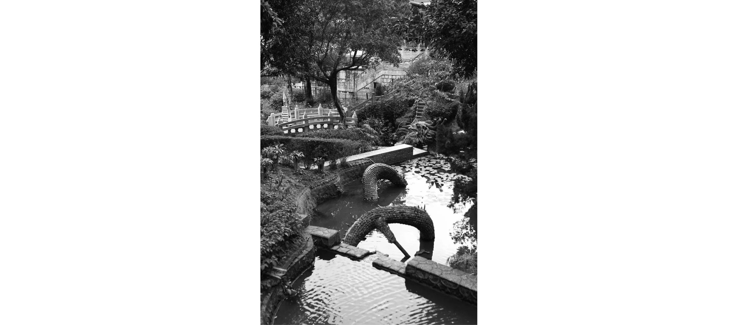 drift-city-dragon-garden-hong-kong-by-kacey-wong-04.jpg