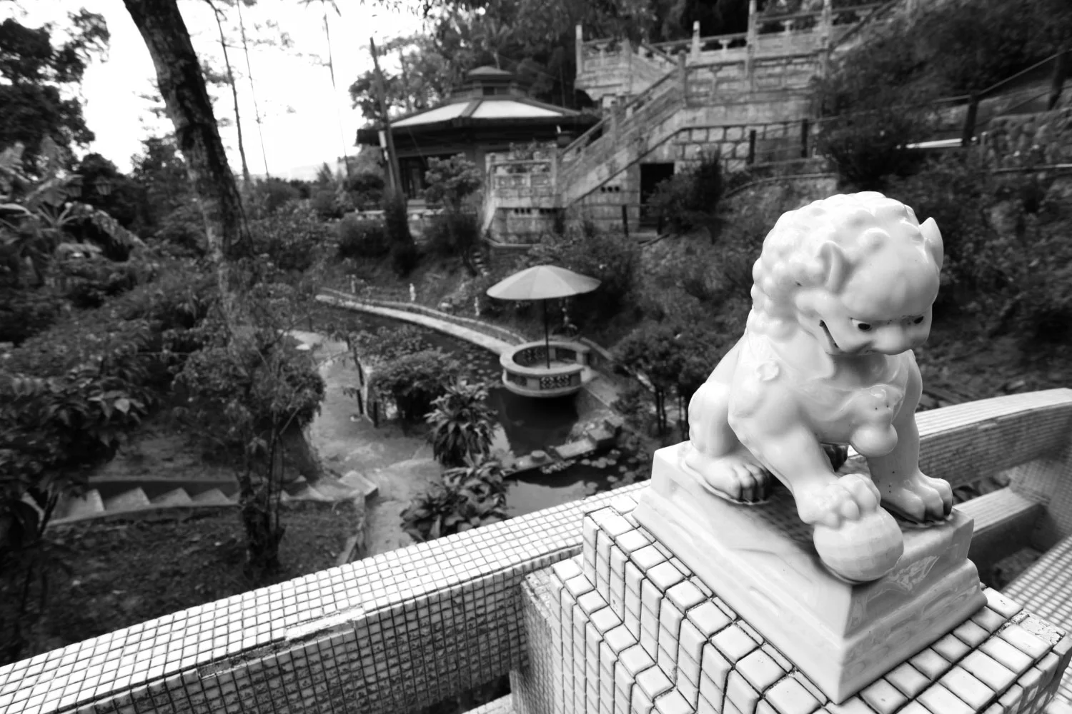 drift-city-dragon-garden-hong-kong-by-kacey-wong-15.jpg