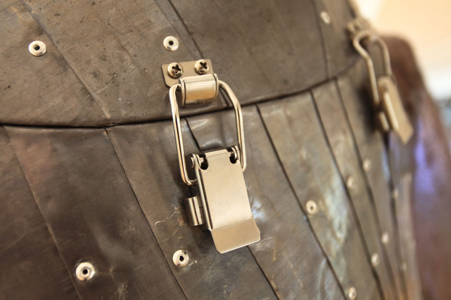 protective-imprisonment-by-kacey-wong-07.jpg
